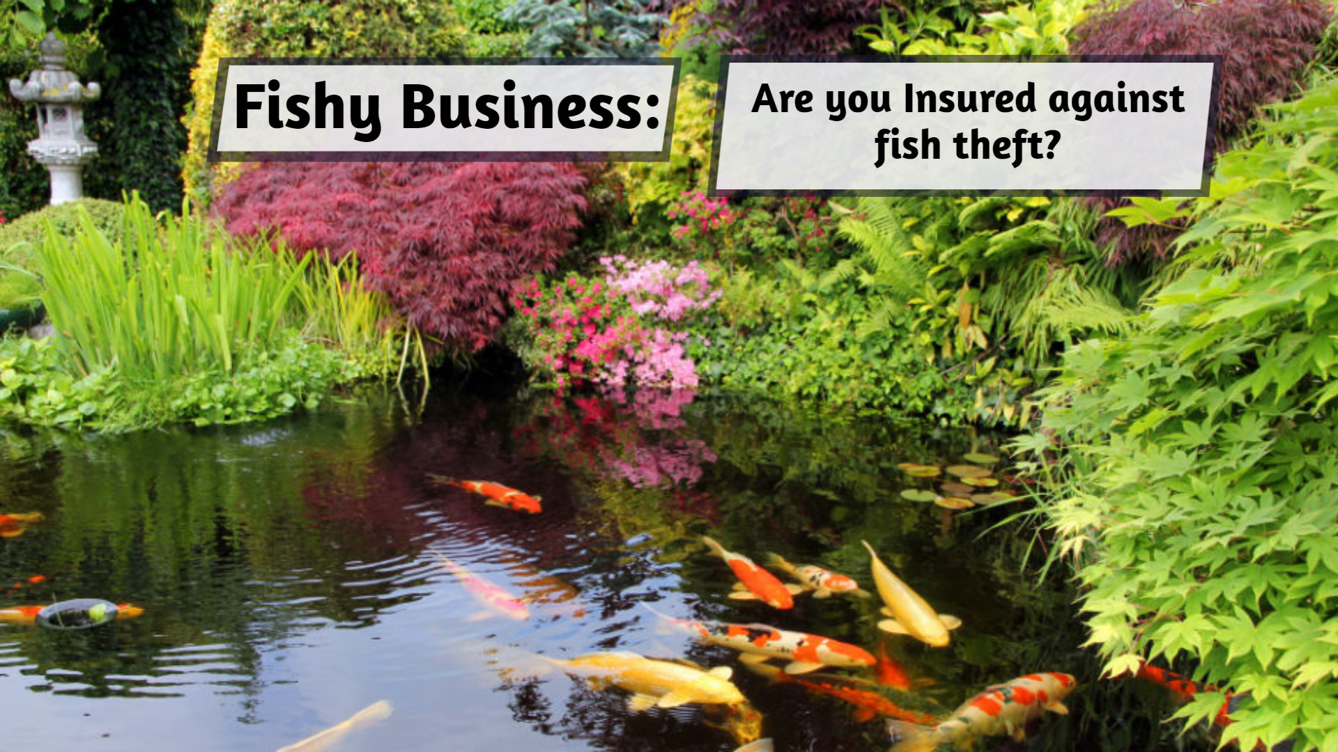 Fish theft